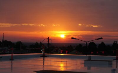 Sunrise over a Sea of TPO