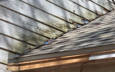 Does your roof look like this? DM us â€˜ROOFâ€™ now for a free inspectionâ€¼ï¸