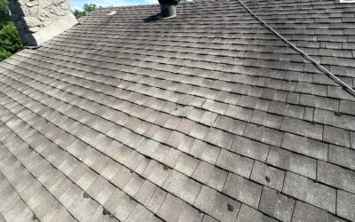 Take a look ðŸ‘€ at your roof, if you see this CALL or DM us &lsquo;ROOF&rsquo; now!