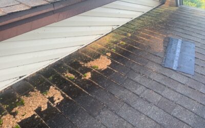 When&rsquo;s the last time you were on your roof? CALL or DM us &lsquo;ROOF&rsquo; now for a free inspection!