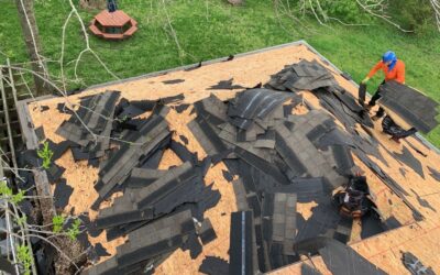 NO DAYS OFF ðŸ’ªðŸ» IF the sun is out we&rsquo;re putting on a roof! If you WANT or NEED a roof CALL or DM us &lsquo;ROOF&rsquo; NOW!