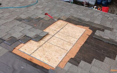 Any leaks or small patches in your roof? CALL NOW! We can set up a free estimation and get your roof fixed ASAP